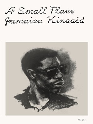 cover image of A Small Place